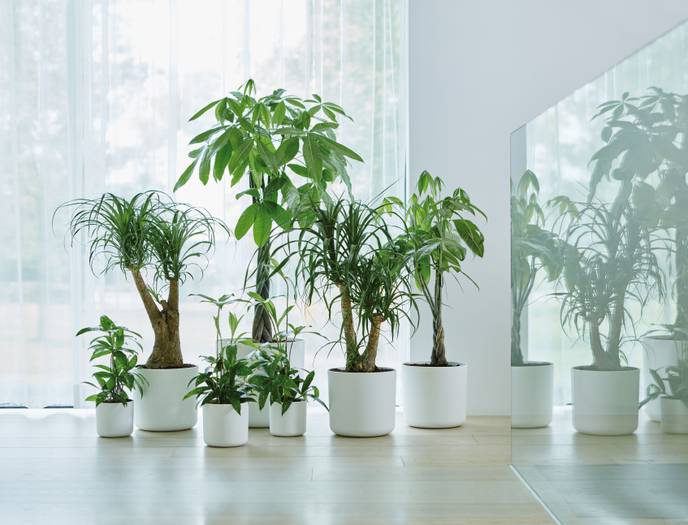 b.for soft round 35cm white